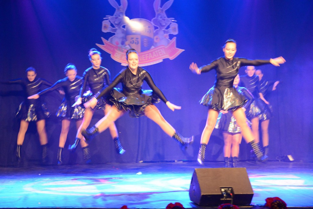 ../Images/Dansmarieke festival 2015 223.jpg